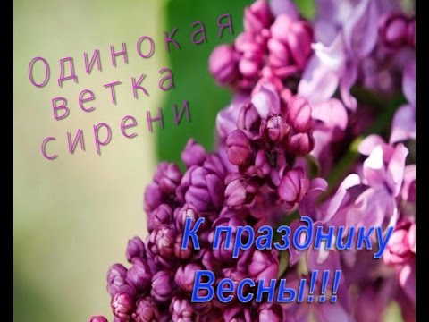 По городу запах сирени караоке. Одинокая ветка сирени. Плыл по городу ветка сирени. Фортепиано сирень.