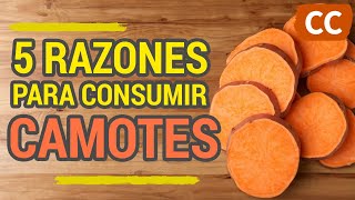 5 RAZONES PARA CONSUMIR CAMOTES | Ciencia de la Comida