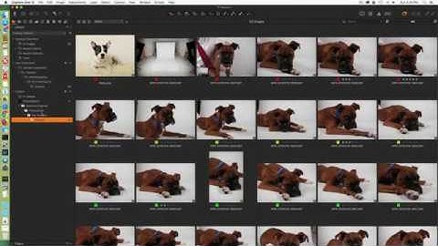 Migrating Lightroom Catalogs to Capture One – Walter Rowe