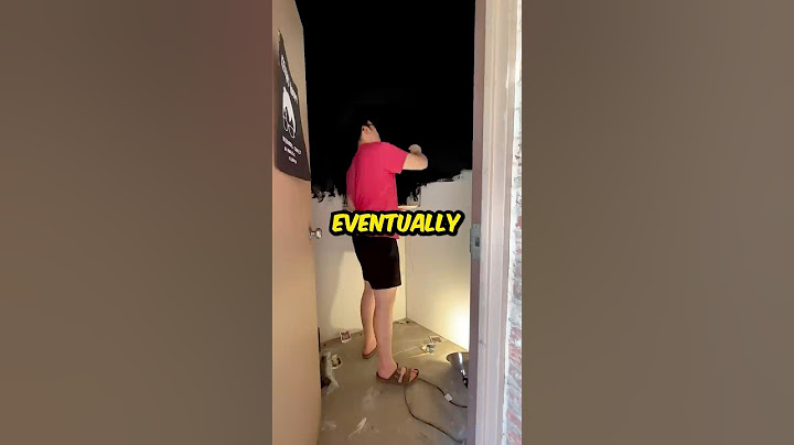 I painted the World's Blackest Room