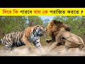 à à à à à à à à œà à à à à à à à à à à à ªà à à à à à à Ÿà à ªà à Animals That Can Defeat Tiger Tiger Vs Lion à à à à à à à à œà à à à à à à à à à à à ªà à à à à à à Ÿà à ªà à Animals That Can Defeat Tiger Tiger Vs Lion