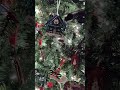 I wonder what #tech will come for #christmas #techmas #shorts