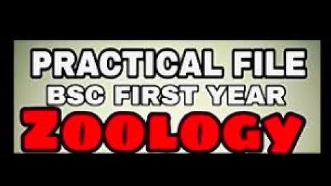 #practicalfile #zoologyfile #leadyourself ZOOLOGY B.Sc 1st Year Practical File