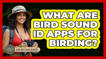 What Are Bird Sound ID Apps For Birding?