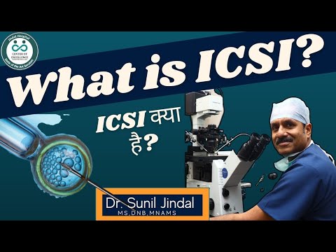 intracytoplasmic-sperm-injection-treatment|ICSI-क्या-है|Dr. Sunil Jindal|Jindal Hospital Meerut