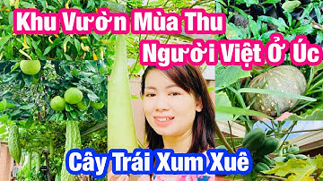 NGƯỜI VIỆT Ở ÚC/ KHU VƯỜN MÙA THU CỦA NGƯỜI VIỆT Ở ÚC/ CUỘC SỐNG ÚC