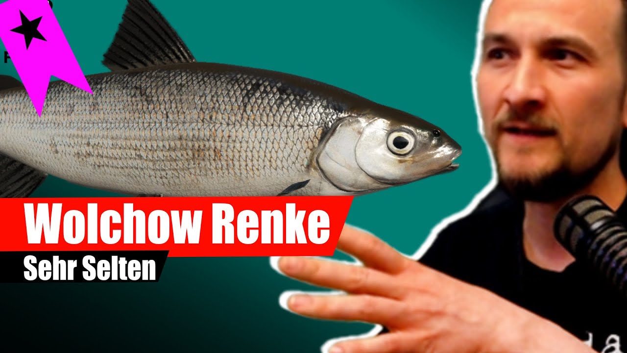 Russian Fishing 4 - Ladogasee - Wolchow Renke! Aufgabe 5. 1