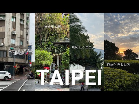 친구들과 함께한 타이베이🇹🇼 2박3일 vlog • 먹방여행 • 대만맛집 • 구글맵 공유