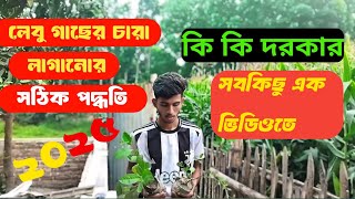 লেবু গাছের চারা লাগানো সঠিক পদ্ধতি।How to grow lemon tree।  reporting lemon tree। lemon_plant_guide