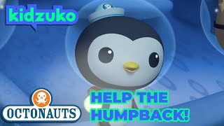 β@Octonauts - The Mixed Up Whales | Full Episode 16 | @Kidzuko