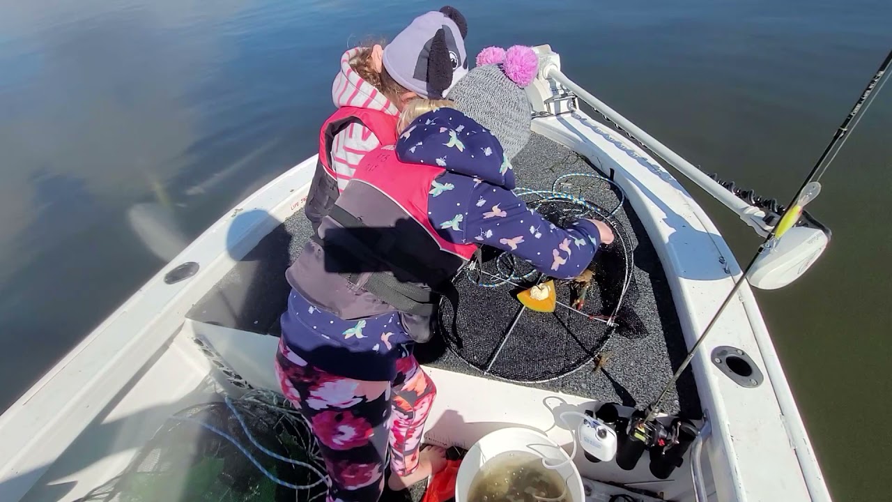 Somerset Dam, redclaw  pot checking April 2021