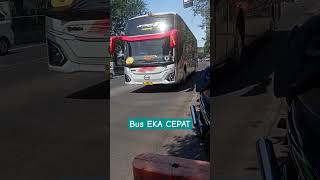Bus Eka Cepat bus busmania  buseka