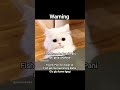 Funny Reels #beauty #memes #relatable #aesthetic #trending #viral #catmemes #funny #tweetreels #cat