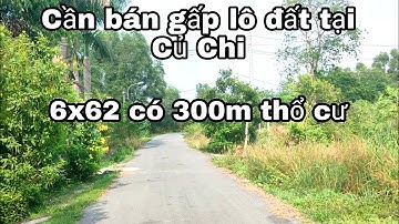 Nhà đất củ chi | giá rẻ | giới thiệu | Lô đất mặt tiền đường nhựa thông Diện tích 385m2 🚫 Đã Bán