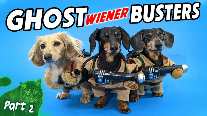 GHOSTWIENERBUSTE...  Part 2 - How to Catch a Ghost...
