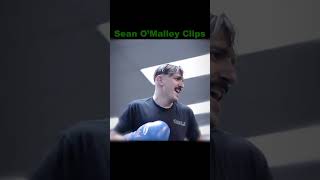 Sean OMalley Fights Andrew Schulz