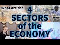 Exploring The Four Economic Sectors And Their Roles