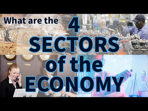Video: Ano ang sektor ng ekonomiya? Pangunahin, pagbabangko, munisipal, pribado at pinansiyal na sektor ng ekonomiya
