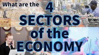 The 4 Sectors of the Economy | Think Econ