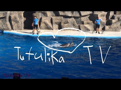 ბათუმის დელფინარიუმი