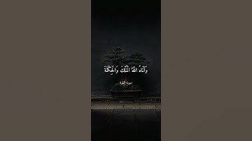 القرآن راحة النفسيه تلاوة خاشعة ⚘️حالات واتس اب قرآن كريم
