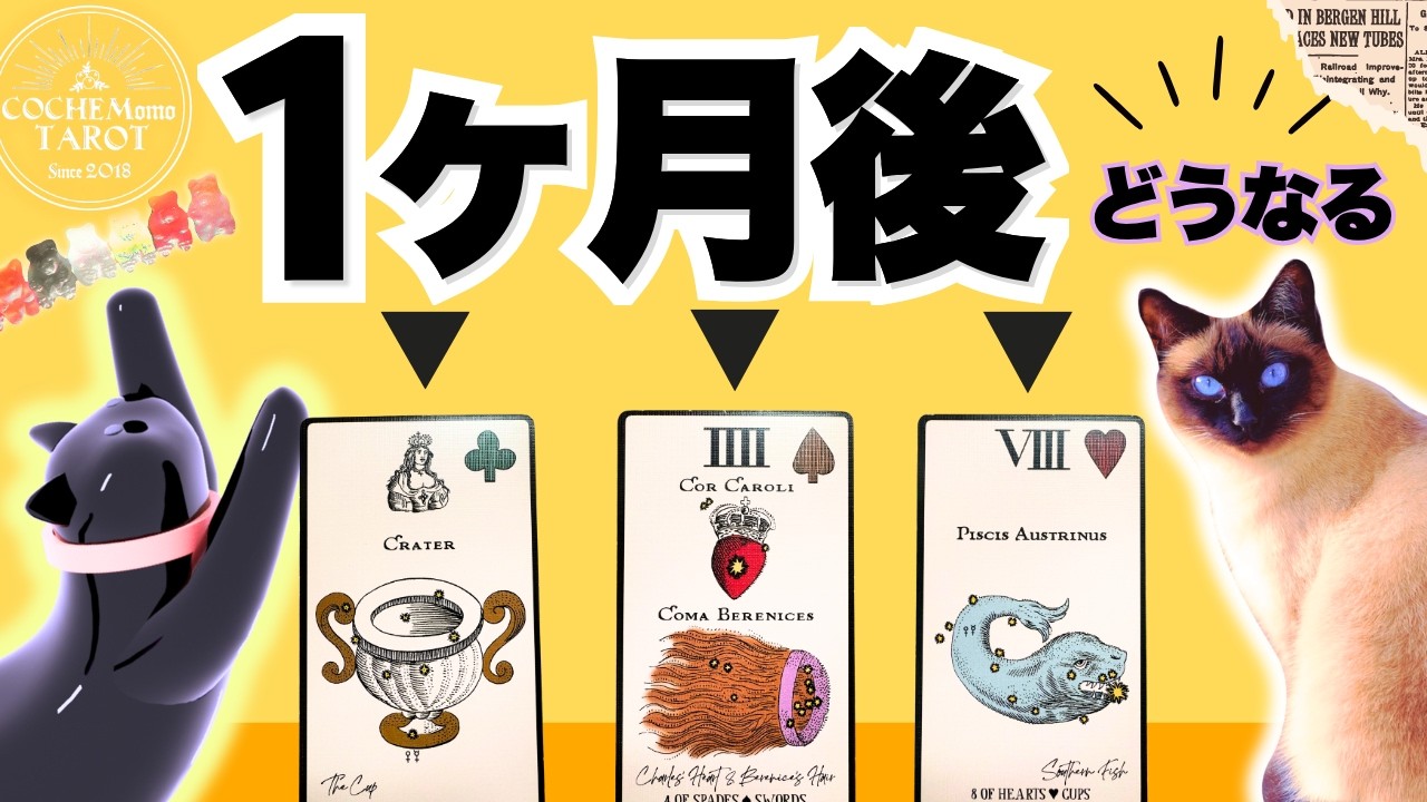 【見る瞬間から！】全盛り３０項目🍚『1ヶ月後どうなる？』超深掘りでタロット🔮仕事|恋愛|生活|お金