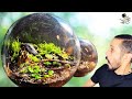 LIFE In A Glass Bubble Terrarium