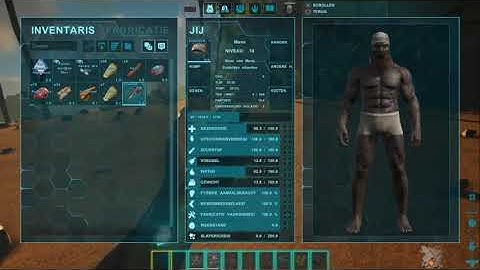 The Fireball ARK Evolved The Island