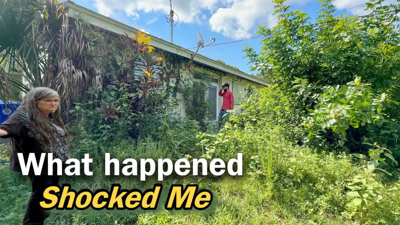 I Thought This House Was Abandoned… Then She Walked Out