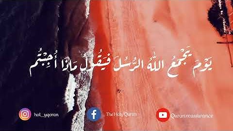🏵️يوم يجمع الله الرُّسُلَ فيَقُولُ مَاذَا أُجِبتُم 🏵️ تلاوة خاشعة تنير القلب ♥️