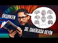 Kitap okumak beynimizi nasl etkiliyor