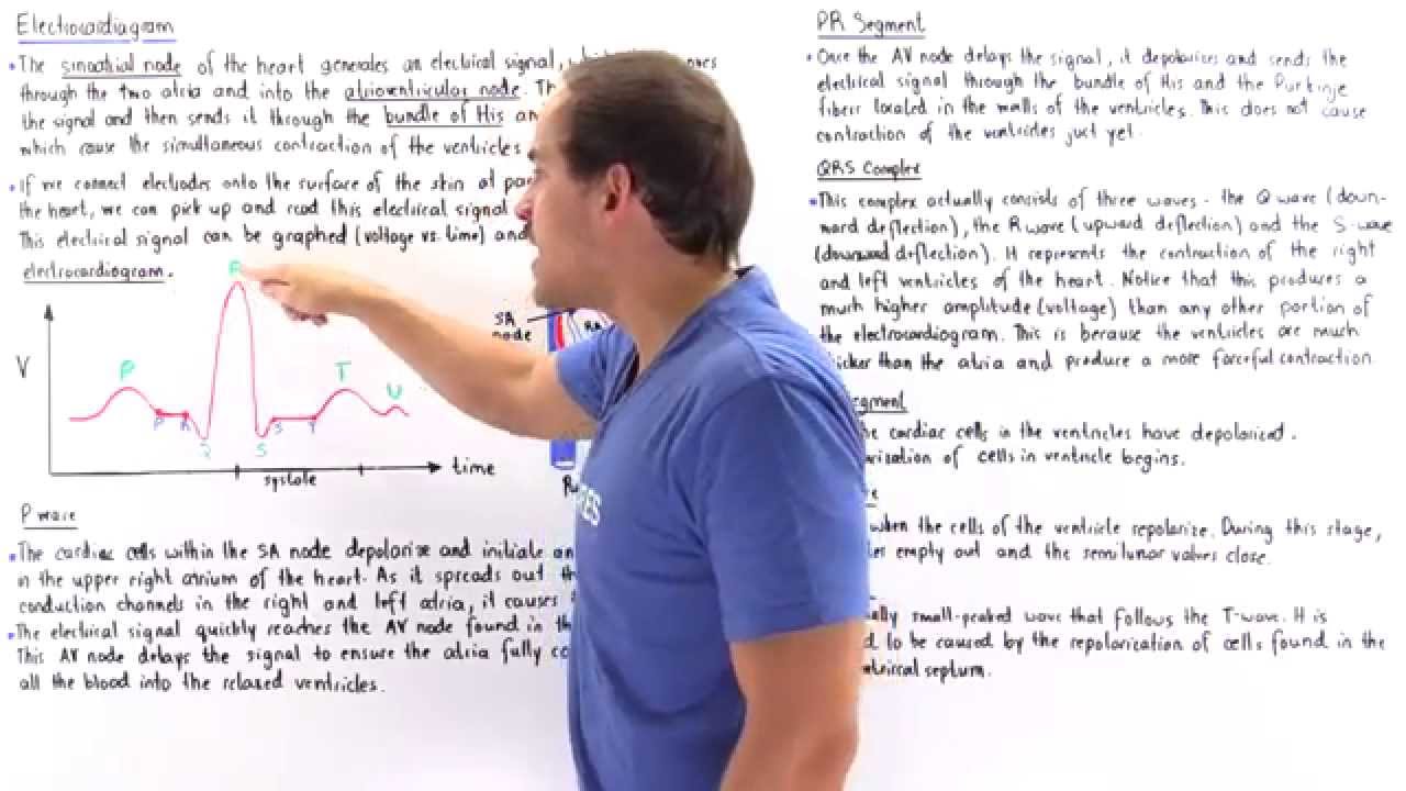 Introduction to Electrocardiogram