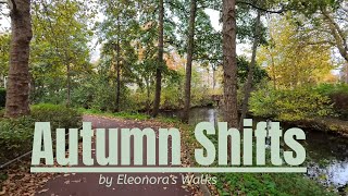 Healing in Motion – Autumn Ride in The Hague, Netherlands by Eleonora’s Walks
