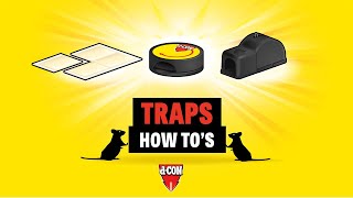 How to use mouse traps