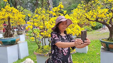 Hội hoa Xuân 2023 công viên Tao Đàn.