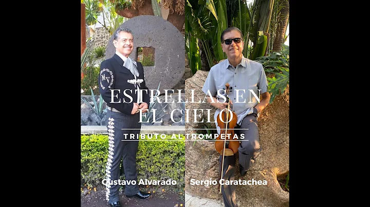ESTRELLAS EN EL CIELO