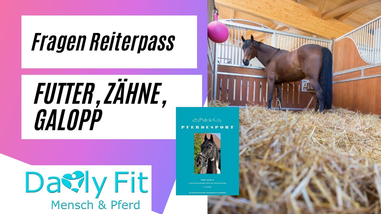 Fragen Reiterpass 🎓📚Futter, 🌱Zähne, 😬Galopp.🧐 - YouTube