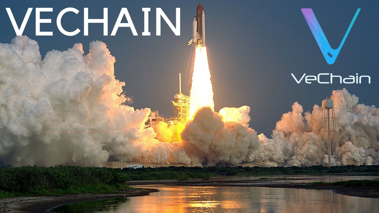 VECHAIN PRICE UPDATE! CAN VECHAIN GET TO 1 DOLLAR BY THE END OF THE YEAR
