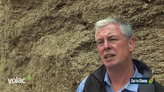 Feeding - Top tips for better maize silage - Cut to Clamp