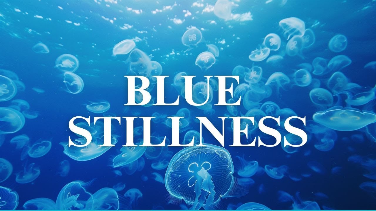 Moon Jellyfish 🪼 Deep Ocean Relaxation 🌊 Natural Underwater Ambience