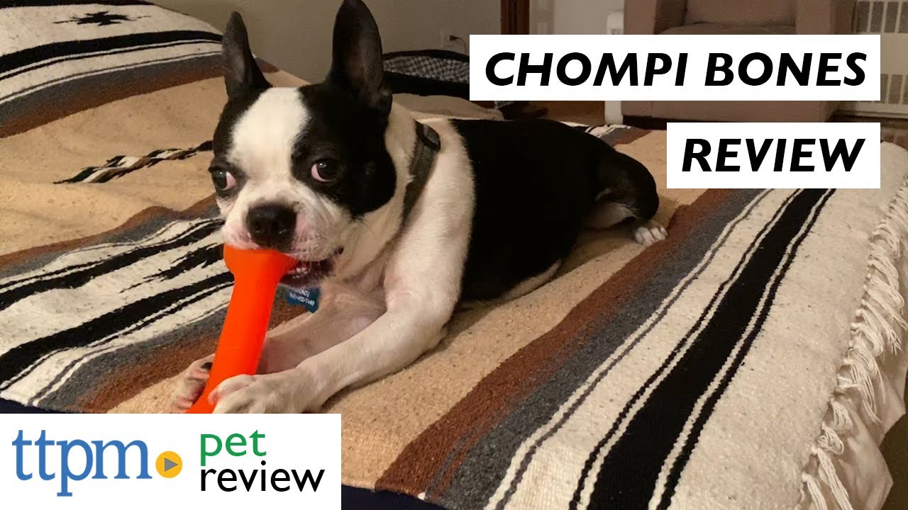 Jersey Dog Co. Bones from Jersey Dog Co. YouTube