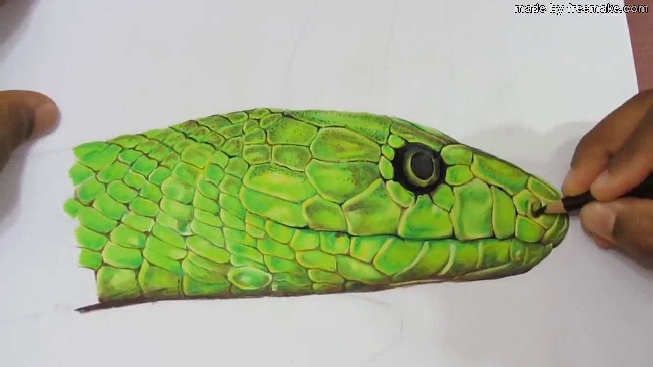 Como desenhar uma cobra realista passo a passo, #desenho #desenhar #tu