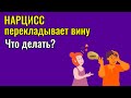 Нарцисс перекладывает вину  Что делать?