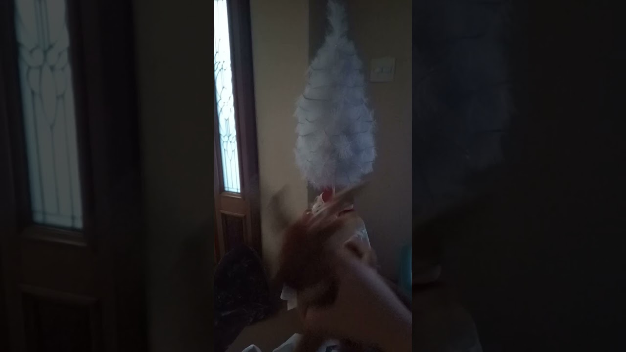 jingle bell jingle bell acabou papel, não faz mal não faz mal, limpa