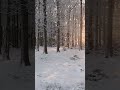 Snowfall.sounds of nature for sleep, Hamnoy and Rhine | 4K