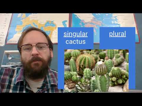 Plural Nouns (English and Latin) - YouTube