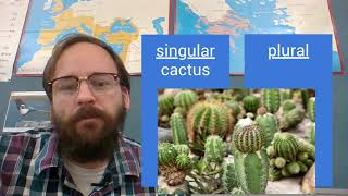 Plural Nouns (English and Latin)