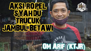 AKSI ROPEL SYAHDU TRUCUKAN JAMBUL BETAWI | BANG ARIF CEMONK | KTJR | PORJEL EBOD JAYA screenshot 3