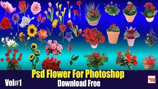 Psd Flower For Photoshop Vol#1 Download Free By Adobe BoX 2018 screenshot 5