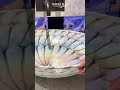 Luxury Wash Basin | Premium Sanitaryware | Immeria Baths